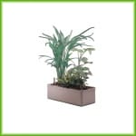 Cheri - Afbeelding 2