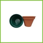 Classica - Afbeelding 3