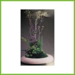 Elena - Afbeelding 2