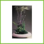 Elena - Afbeelding 2