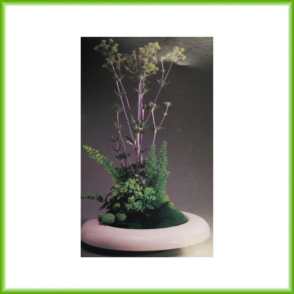 Elena - Afbeelding 2