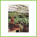 Hydrokweekpot - Afbeelding 5