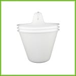 Linda - Afbeelding 4