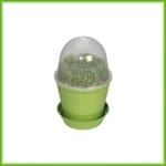 Mini-Grow - Afbeelding 3