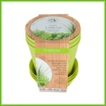 Mini-Grow - Afbeelding 2