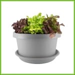 Vario - Afbeelding 4