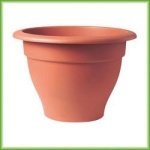 Romana pot