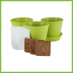 Mini-Grow - Afbeelding 4